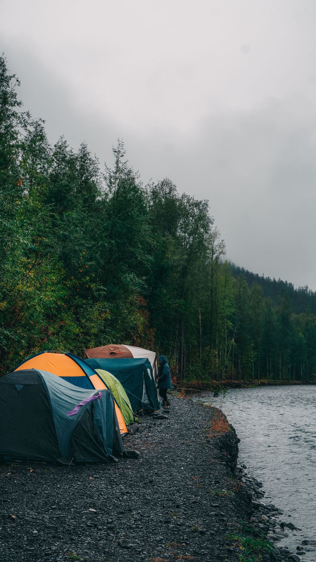 Tents lined up on a rainy riverbank next to a forest